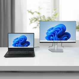 Cable VGA Startech DP14MDPMM10F Negro 3 m