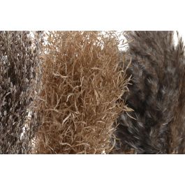 DKD Home Decor Planta Alpino Marron Natural 18 x 40 x 18 cm (12 Unidades)