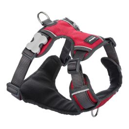 Petral Red Dingo Acolchado S Rojo Precio: 29.49999965. SKU: B15ZTDAFRL