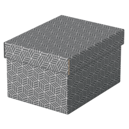 Esselte Caja de almacenamiento de cartón gris con asas, Pack de 3 unidades, Dimensiones 255x200x150 mm Precio: 15.49999957. SKU: B148J3JD4W