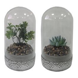 DKD Home Decor Planta Gris 12x18x12 cm (4 Unidades) Precio: 20.98999947. SKU: B16SL6Z7SP