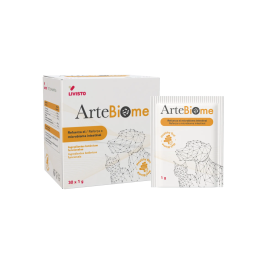 Livisto Artebiome 30 Sobres Fitobióticos Cúrcuma Aloe Vera para Reforzar Microbioma Intestinal Perros Gatos Precio: 32.5000005. SKU: B1DARZKWA3