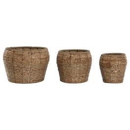 Macetero Tropical DKD Home Decor Natural 32 x 25 x 32 cm Set de 3 Precio: 36.49999969. SKU: B16JCVB4AX