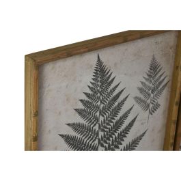 Cuadro Home ESPRIT Cristal Abeto 50 x 3 x 70 cm 50 x 2,5 x 70 cm