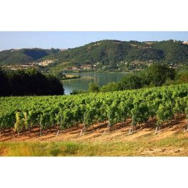 Les Combes de Saint-Sauveur 2019 Côtes du Rhône Village Plan de Dieu - Vino tinto del Valle del Ródano