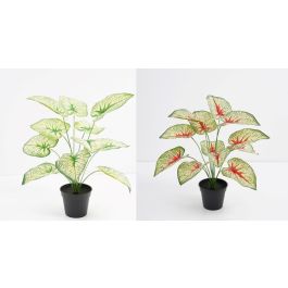 DKD Home Decor Planta Verde Blanco 43 x 54 x 30 cm (12 Unidades) Precio: 91.6900006. SKU: B1FPWM45JK