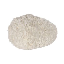 Lámpara de mesa Blanco Precio: 16.78999993. SKU: B1ELPXATPN