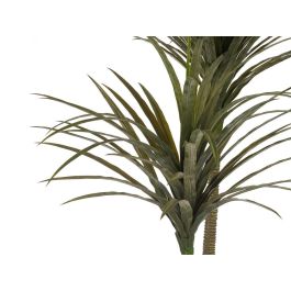 Planta con Maceta Hoja Estrecha Mediana Ibergarden 150 cm (Alto) x 105 cm (Largo) x 80 cm (Ancho)