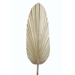 DKD Home Decor Rama Tropical 150 x 27 x 2 cm (12 Unidades) Hoja de Palmera