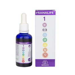 Pranalife 1 Pranalife 1 Precio: 26.4999999. SKU: B19H3GDNJN