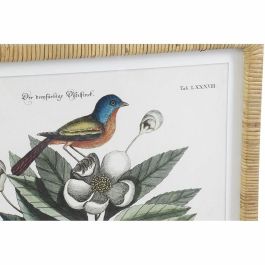 Cuadro Shabby DKD Home Decor Verde Beige 2.5 x 65 x 50 cm (4 Unidades) Cuadro Shabby DKD Home Decor Verde Beige 2.5 x 65 x 50 cm (4 Unidades)