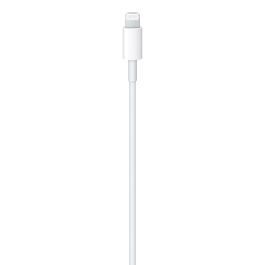 Apple Cable USB-C a Lightning 1m MM0A3ZM/A