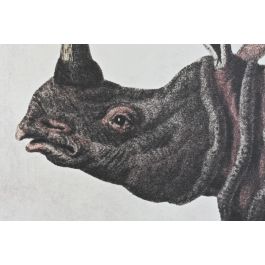 DKD Home Decor Cuadro Colonial Negro Gris Rinoceronte Set de 3 4 x 120 x 180 cm