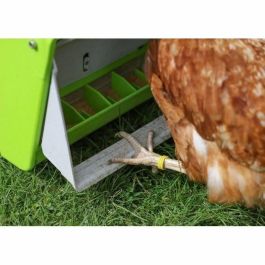 Kerbl KER1685172630247 Comedero automático SmartCoop con Persiana protectora 7,5 kg Verde
