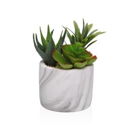 Planta Decorativa Versa Cerámica Plástico Fusion Suculenta 9 x 15 x 9 cm Precio: 6.50000021. SKU: B19Y7HX3ZQ