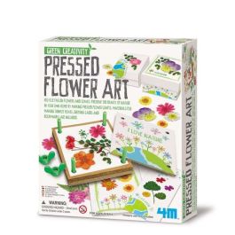 Hape Taller de Flores Prensadas. Edad Mínima Recomendada: 5 Años.