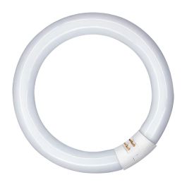 Patron Tubo fluorescente circular 40W G10q 6500K luz fría Ø400 mm T9