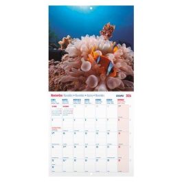 Calendario (2026) Dohe Pared Imagenes Mensual Para Escribir 300X300 Paisajes Exoticos Precio: 10.50000006. SKU: B1D4HLCVY6