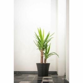 Garden Id 02041069 Maceta Green Care Sense Negro-Antracita 30x27 cm, 100% Reciclada, Resistencia UV y Heladas, 10 años garantía Garden Id 02041069 Maceta Green Care Sense Negro-Antracita 30x27 cm, 100% Reciclada, Resistencia UV y Heladas, 10 años garantía