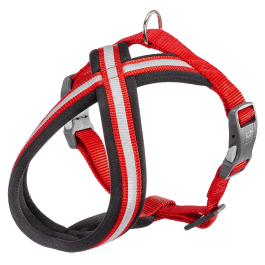 Ferplast Daytona Cross P XS Arnés Rojo para Perros Pequeños Talla XS Pecho 39-50 cm Precio: 26.79000016. SKU: B1D4GY67FF