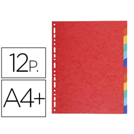 Exacompta Separadores 12 Posiciones A4 Maxi Cartulina 220 gr Precio: 1.88999943. SKU: B12TG8G4AX