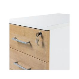 Rocada Cajonera Serie Store con 3 Cajones 58x40x59,5 cm Acabado Gris/Gris