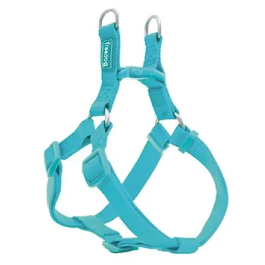 Freedog Arnés Nylon Basic Tipo A Turquesa 20 mm 51-70 cm Precio: 7.69000012. SKU: B1BTBMF8N5