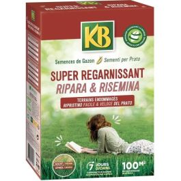 KB KREGFAC100 Semillas de césped - Super Replenishing 2 kg - Para zonas de sombra - Germinación rápida 7 días - Para 100m² KB KREGFAC100 Semillas de césped - Super Replenishing 2 kg - Para zonas de sombra - Germinación rápida 7 días - Para 100m²