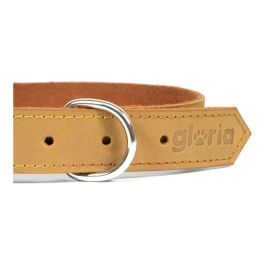 Gloria Collar Oasis 35 cm X 12 mm Amarillo para Perro de Piel Nobuck Resistente y Suave