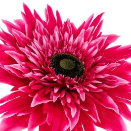Flor Gerbera Fucsia Artificial 40 X 40 X 125 cm