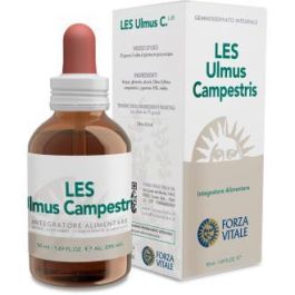 Les Ulmus Campestris Olmo 50Ml. Les Ulmus Campestris Olmo 50Ml. Precio: 16.5899998. SKU: B158BPGTK6