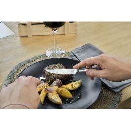 Zwilling 07150-359-0 Set de Cubiertos para Carne 12 Piezas, de Acero Inoxidable, para 6 Personas, en Caja de Madera
