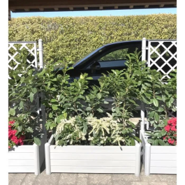 Stefanplast RECT. blanco Bandeja Flores Rectangular Madera Blanca 100x43xH35cm 80L