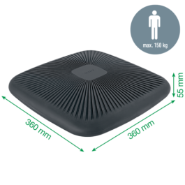 Cojín para sillas Leitz Ergo