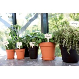 Elho 6811701443341 Set 5 Macetas Green Basics con Plato Negro - Ø17 x Al15,7 cm + Plato Ø14 cm - 4 L