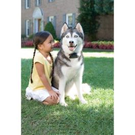 Collar adicional para Super Radio Fence Prf-3004xw-20 Collar adicional para Super Radio Fence Prf-3004xw-20