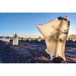 Biotop Ø 1,5 x 1,8 m Capuchas de Protección para Plantas Saco Maxy Artic. Gramaje 30gr/m² Tratamiento UV