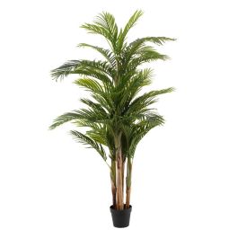 Planta Areca Verde Artificial 189 cm Precio: 179.9028. SKU: B1FVH5WAS9