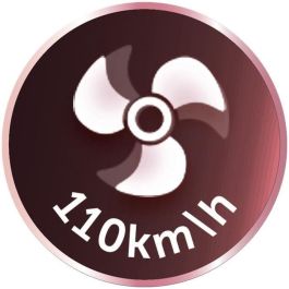 Remington Secador Rose Shimmer 2200 W Negro, Rosa