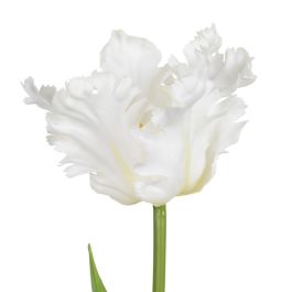 Flor Tulipán Blanco Tejido Decoración 63 cm