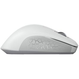 Cherry STREAM DESKTOP COMFORT Teclado y Ratón Inalámbrico, Diseño Ergonómico, Teclas Silenciosas, QWERTZ Alemán, Blanco