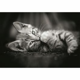 Clementoni CLE8005125399505 Puzzle Compacto 1000 Piezas Kitty Clementoni CLE8005125399505 Puzzle Compacto 1000 Piezas Kitty