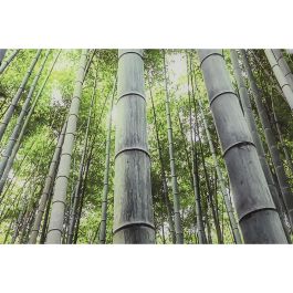 Cuadro Home ESPRIT Cristal Templado 150 x 0,4 x 100 cm