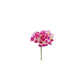 Bolsa 12 Mini Flores Pomos Miosoti Fucsia Precio: 4.49999968. SKU: B1E2BCRH32