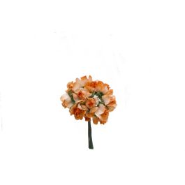 Bolsa 12 Mini Flores Pomos Rosita x Salmón Precio: 5.94999955. SKU: B1ANCZQJT7