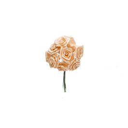 Bolsa de 12 Mini Flores Pomos Rosa Mediana Salmón Precio: 4.49999968. SKU: B17KX54KX4