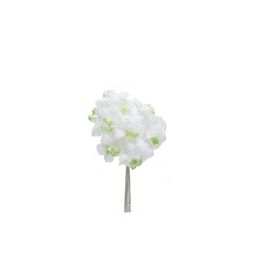 Bolsa 12 Mini Flores Pomos Verde Precio: 8.94999974. SKU: B143NEBPLL