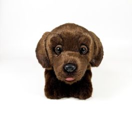 Peluche Labrador Chocolate Tumbado 25Cm 939D00284 Bocalan Peluche Labrador Chocolate Tumbado 25Cm 939D00284 Bocalan