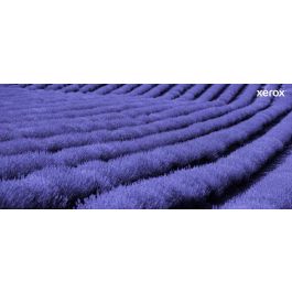 Xerox Cartucho de Tóner Original Amarillo para C230 C235 (1500 páginas)