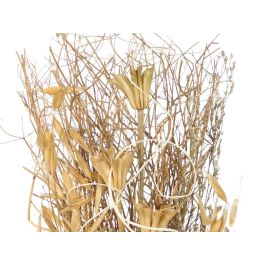 Giftdecor Florero Bola Surtidos Col 10.5x37x10.5cm (Set de 12)